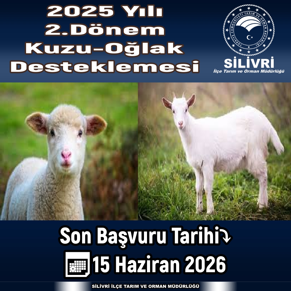 2025 Yılı 2. Dönem Kuzu ve Oğlak Desteklemesi Başvuruları Devam Ediyor
