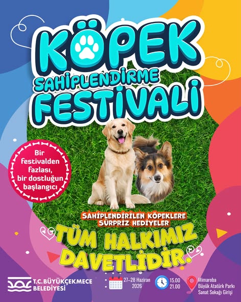 Büyükçekmece’de Köpek Sahiplendirme Festivali Başlıyor