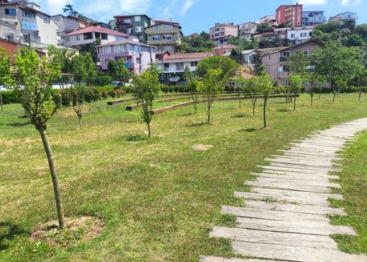 İBB, Park ve Bahçelere Meyve Ağaçları Dikiyor