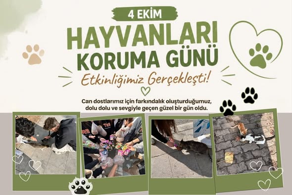 TÜRAM’da Öğrencilerden Sokak Hayvanlarına Anlamlı Destek