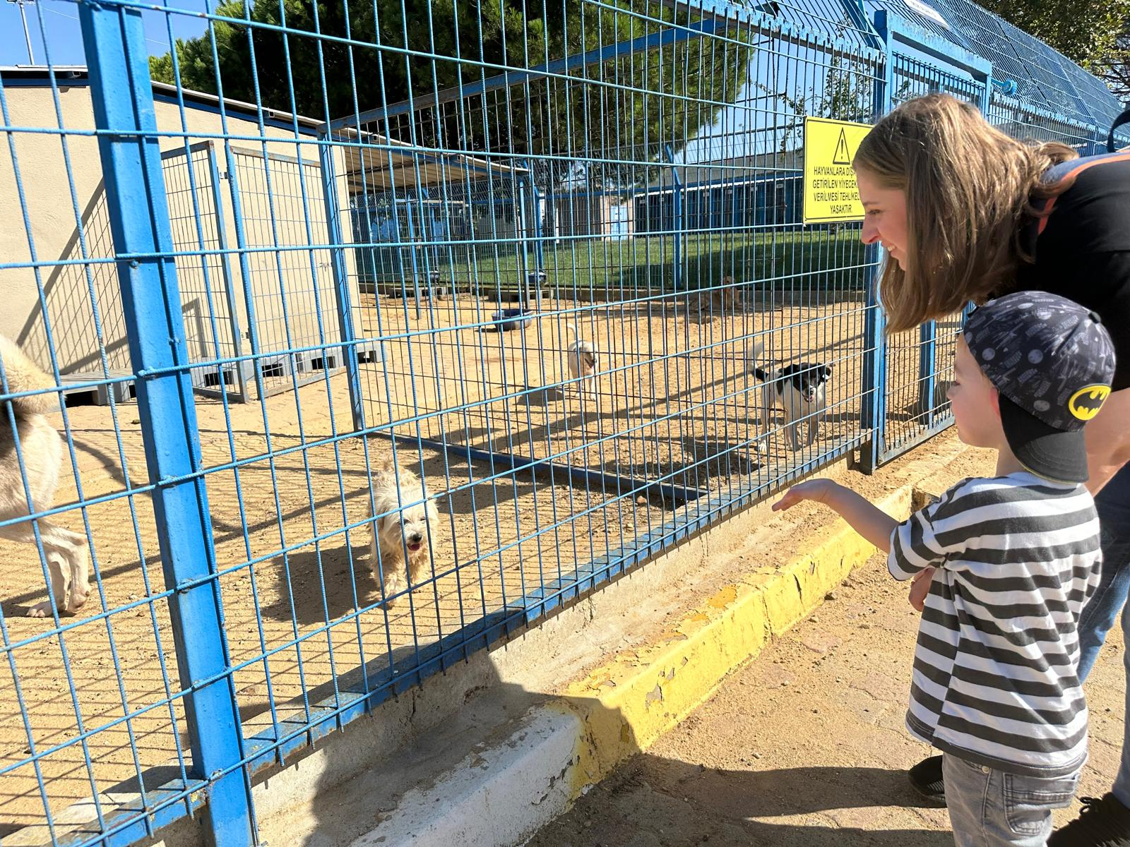 Silivri Belediyesi Küçük Hayvan Rehabilitasyon Merkezi Öğrencileri Ağırladı